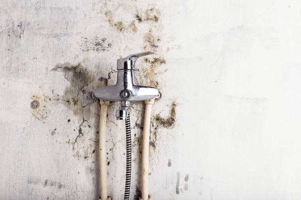 Best Water Damage Restoration  in South Highpoint, FL